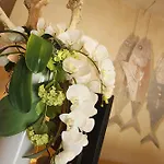 阿尔塔拉维斯塔酒店 酒店